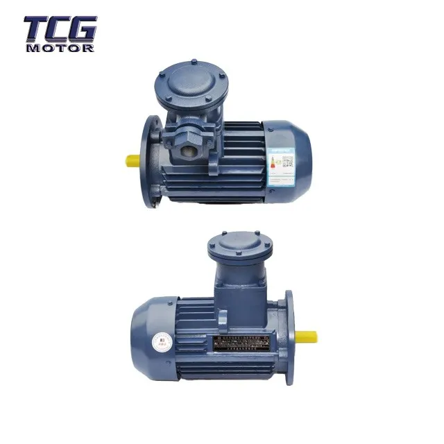 dust proof electric motor