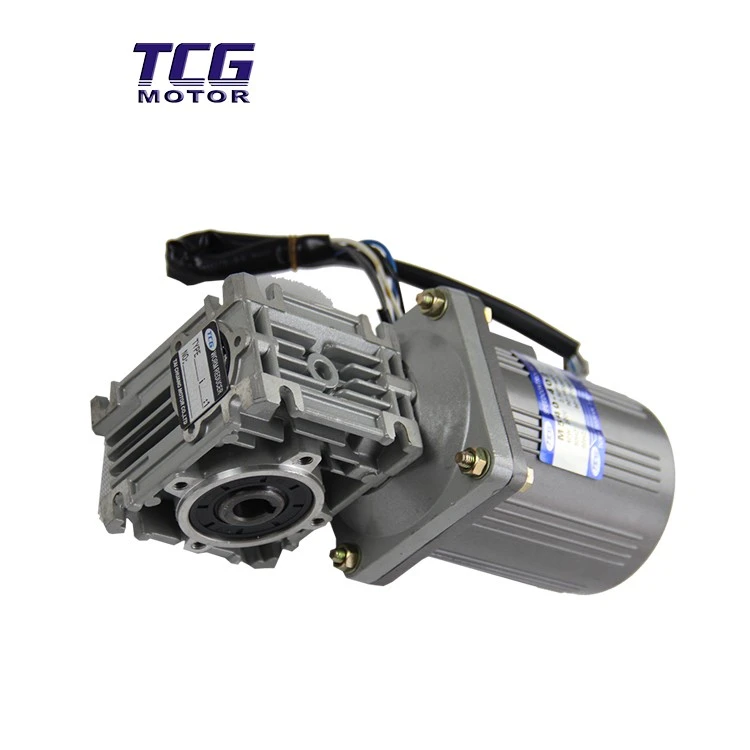 variable speed motor