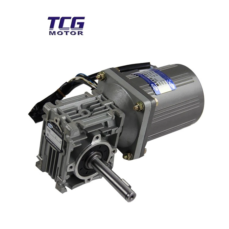 variable speed gear motor