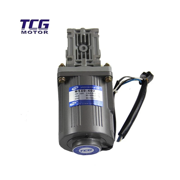 reversible motor